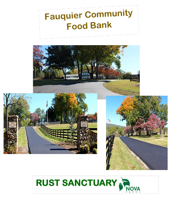 Montage of the Fauquier Community 