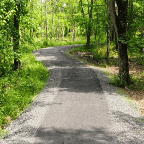  Image of a paved trail